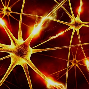 Professor Yuri Sivolap: The state of stress and constant anxiety requires medical attention Professor Yuri Sivolap: The state of stress and constant anxiety requires medical attention
