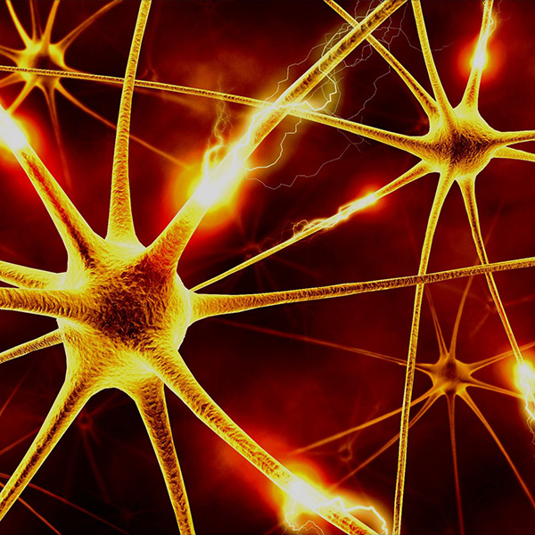 Valenta Took Part in the 14th School of Neurologists «Innovations in Clinical Neurology» Valenta Took Part in the 14th School of Neurologists «Innovations in Clinical Neurology»