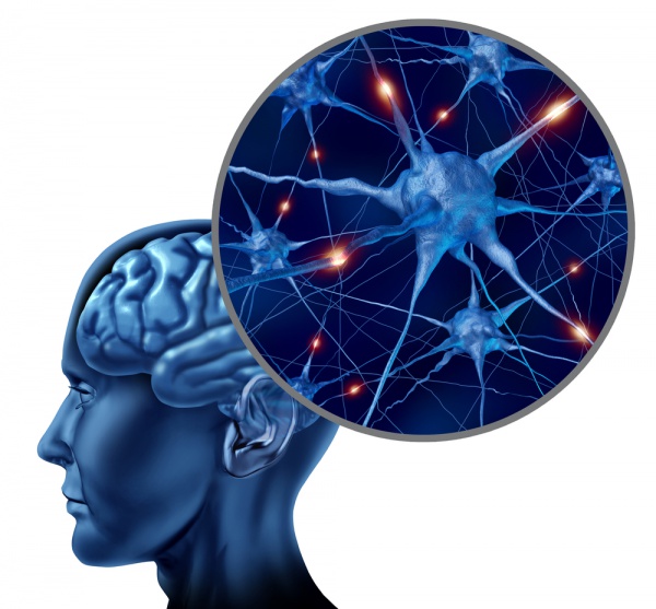 Valenta Held a Conference on Problems of Neuropsychology Valenta Held a Conference on Problems of Neuropsychology