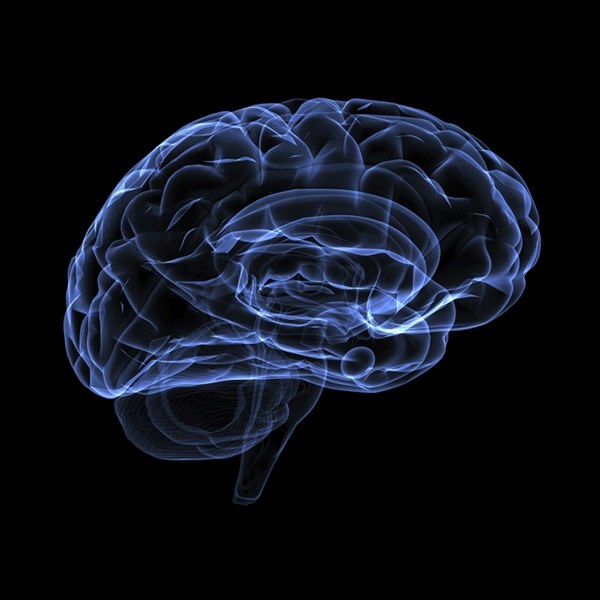 Valenta Held a Teleconference on Problems of Neuropsychology with International Participation Valenta Held a Teleconference on Problems of Neuropsychology with International Participation