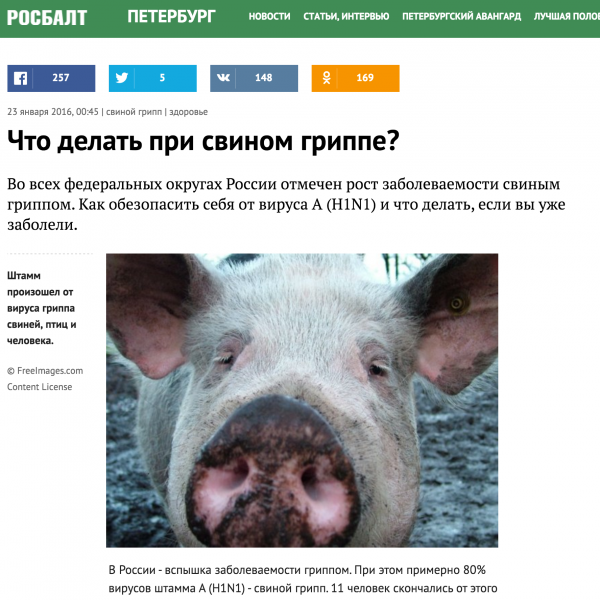 Что делать при свином гриппе? Что делать при свином гриппе?