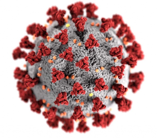 В РАН назвали главную особенность нового штамма коронавируса «пирола»